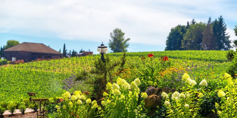 A beautiful view of the Willamette Valley, which you'll enjoy when you stay at our Bed and Breakfast. We're one of the top places to stay in Oregon!