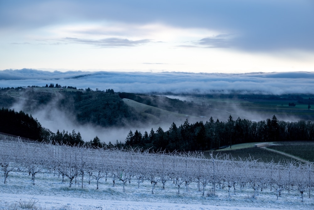 Winter is a beautiful time of year in Oregon's Willamette Valley, including Soter Vineyards